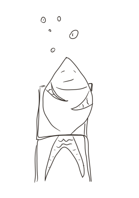 Ryba - Grządki Merry