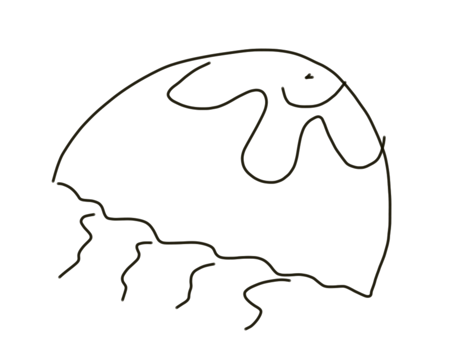 Meduza - wierszyk dla dzieci