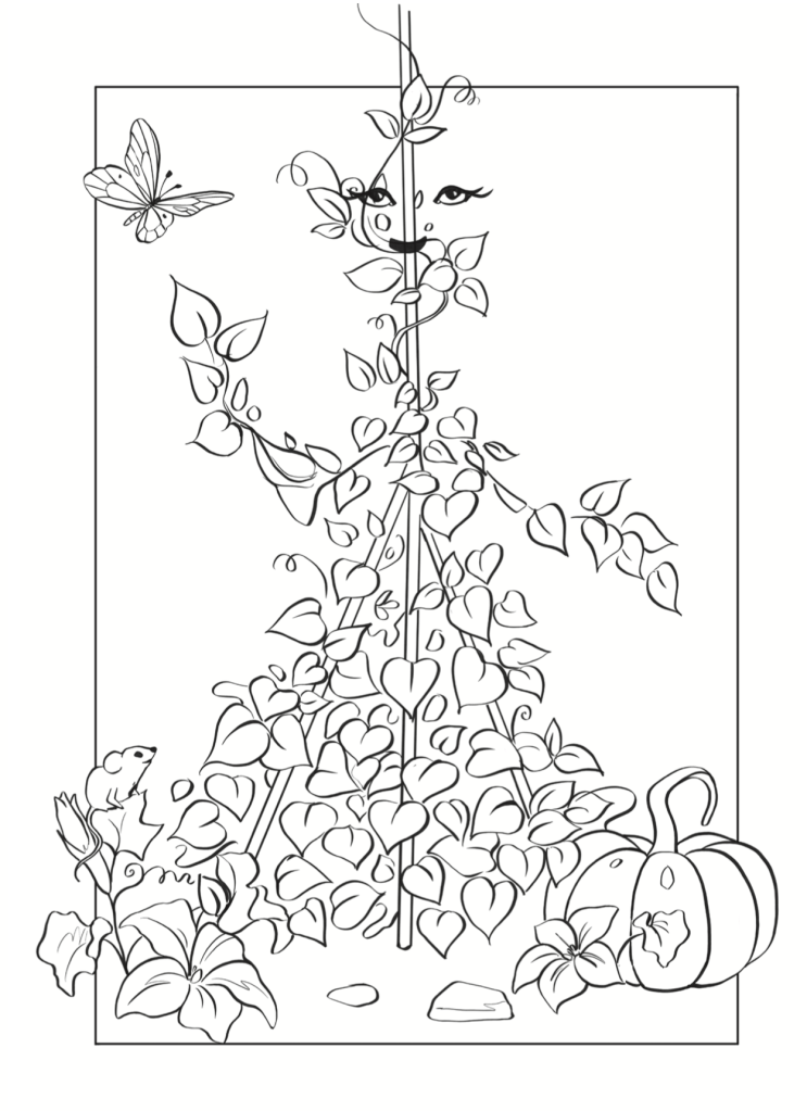 "Fasola" - Kolorowanka "Grządki Merry"