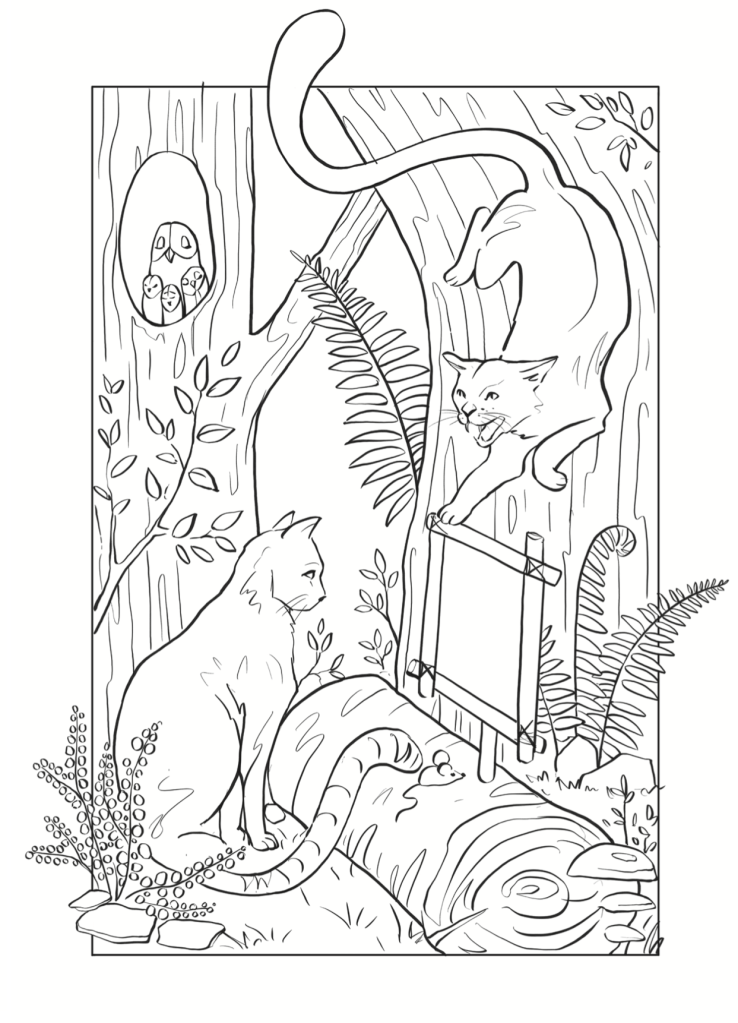 "Żbik" - Kolorowanka "Grządki Merry"