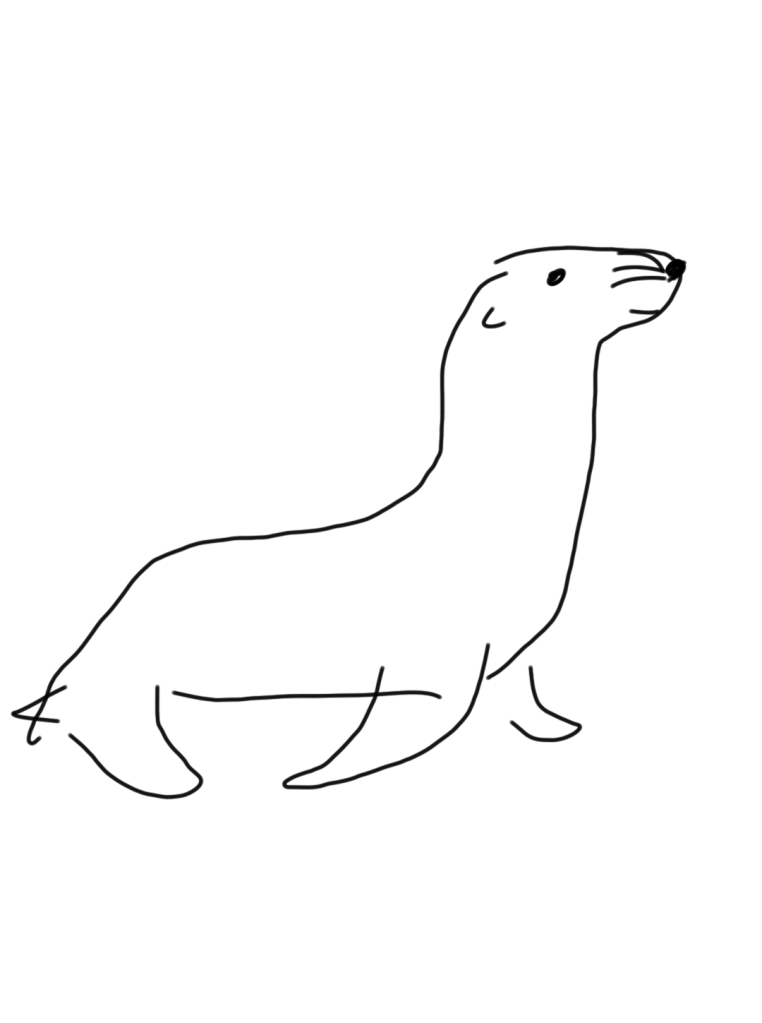 Foka - Grządki Merry